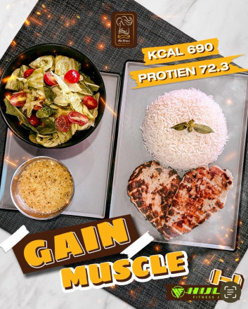 Muscle Gain